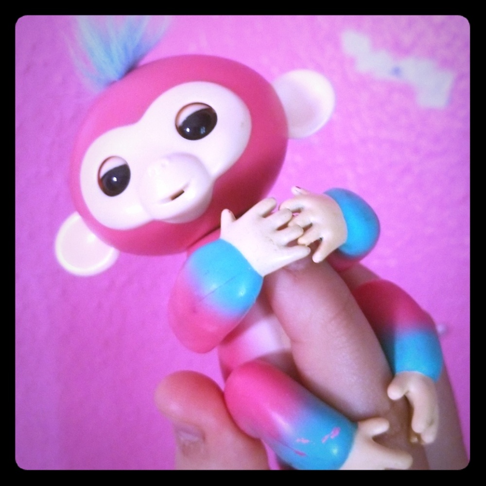Blue and pink fingerling(shipping included)